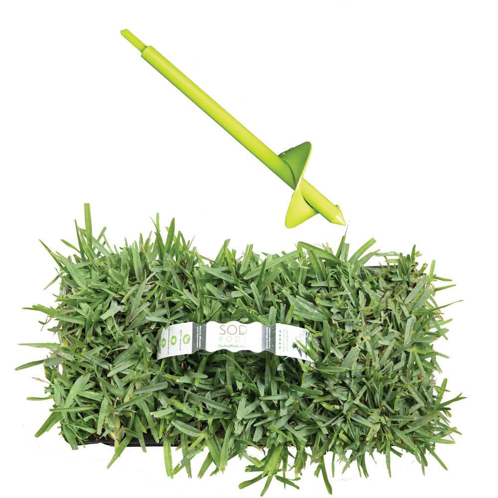 St Augustine Floratam Sod/Grass Plug 64-Count/SP Power Planter Bundle - Natural, Affordable Lawn Improvement price history on PriceWatchPro