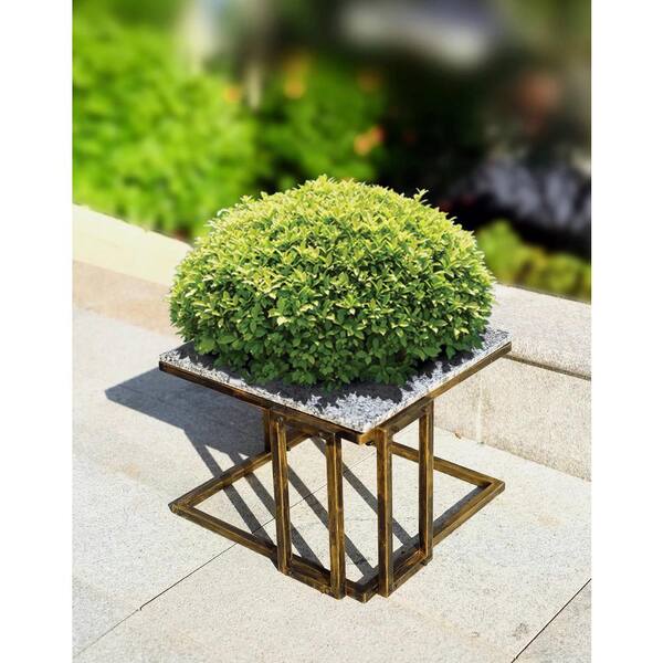 Cubilan 14.5 in. Granite Metal Marble Black / Gold Plant