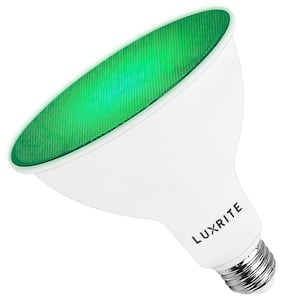 45-Watt Equivalent PAR38 LED Light Bulbs Flood Green Light Bulb 8-Watt Damp Rated UL Listed E26 Indoor Outdoor (1-Pack)