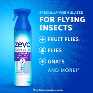 10 oz. Fly, Gnat and Fruit Fly Insect Killer Spray