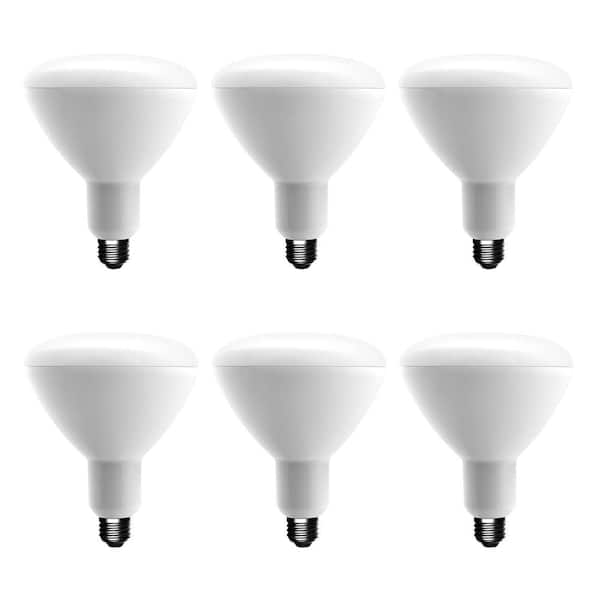 EcoSmart 75-Watt Equivalent BR40 Dimmable LED Light Bulb, Soft White (6-Pack)
