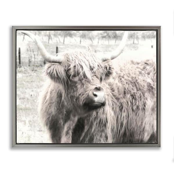 Stupell Industries Highland Cow Gazing Portrait by Graffi tee Studios Gray Floater Frame Animal Graphic Art Print 25 in. x 31 in.