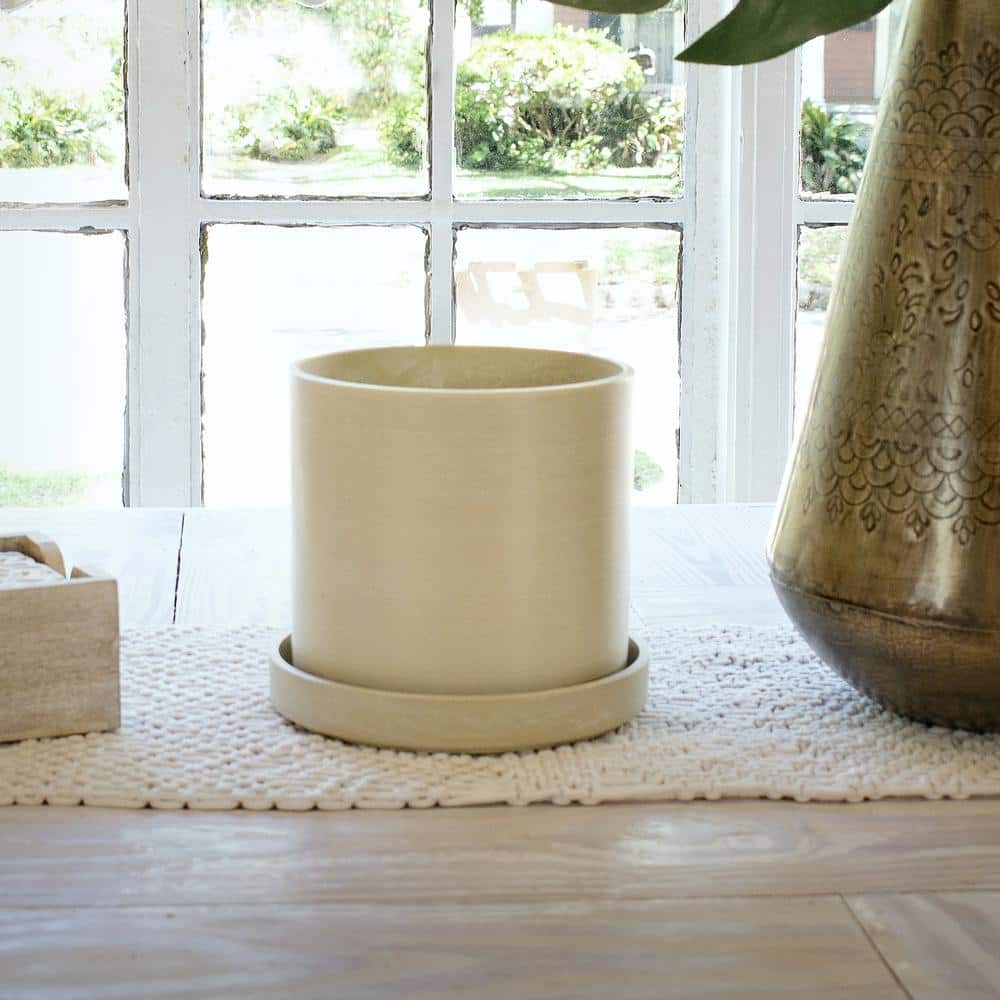 7 in. Cream Ceramic Planter with Parlor Palm Houseplant