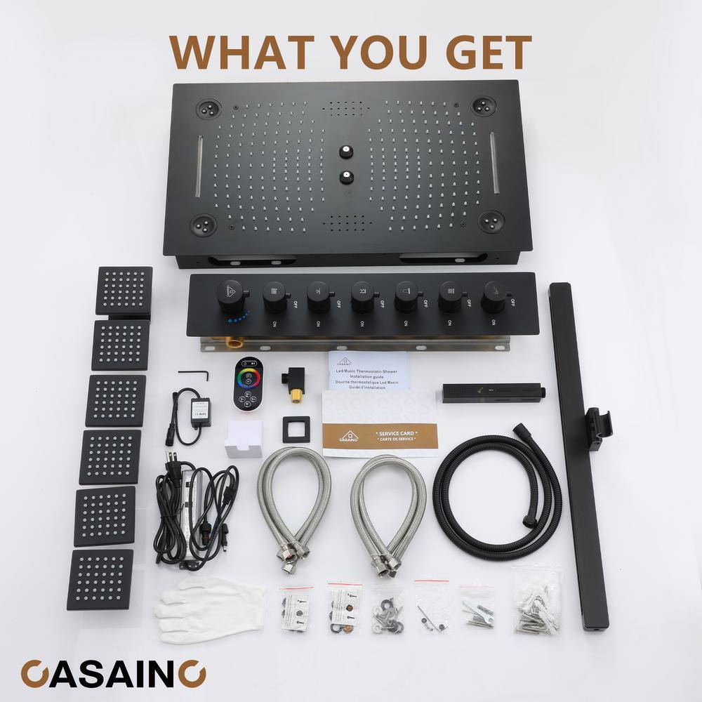 Matte Black Stainless Steel Ceiling-Mounted LED Shower System