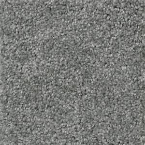 8 in. x  8 in. Texture Carpet Sample - Lucky Penny -Color Charmed