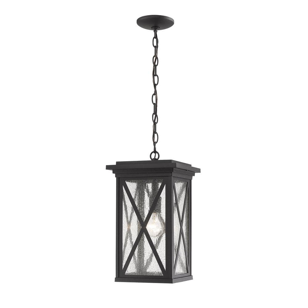 1-Light Black Outdoor Pendant Light with Clear Seedy Glass Shade