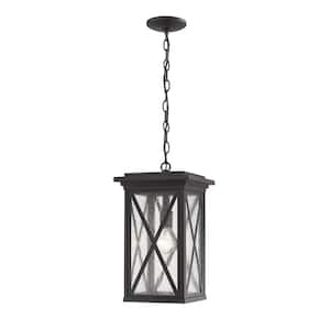 1-Light Black Outdoor Pendant Light with Clear Seedy Glass Shade