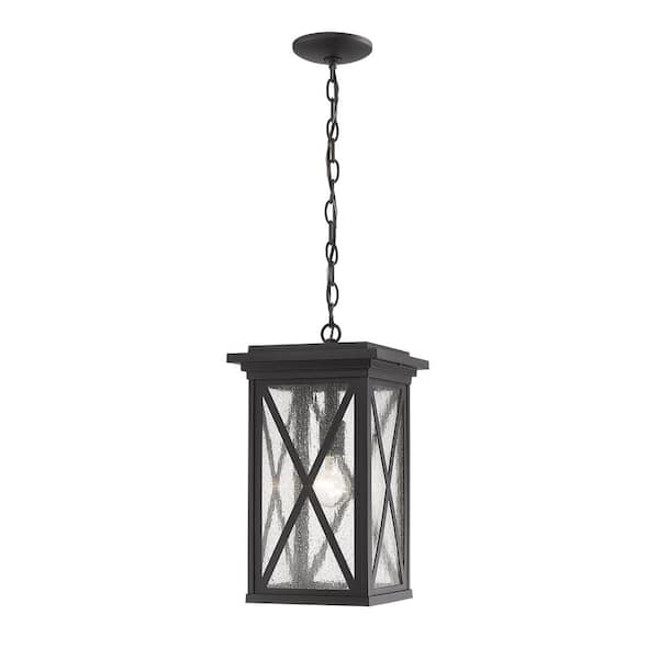 Unbranded 1-Light Black Outdoor Pendant Light with Clear Seedy Glass Shade