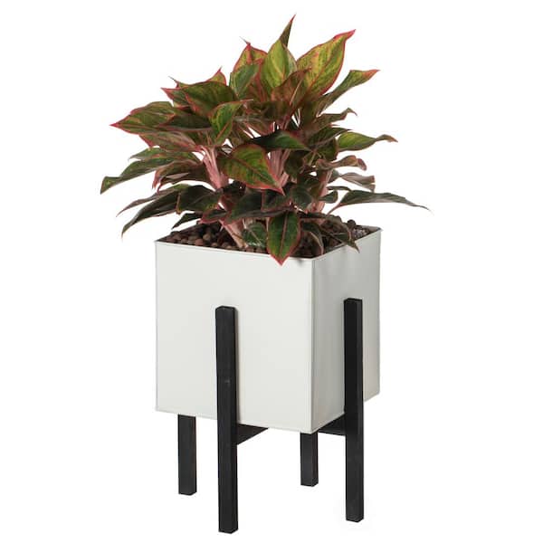 Vintiquewise Indoor and Outdoor White Iron Planting Box with Black Wooden Frame, Large Planter