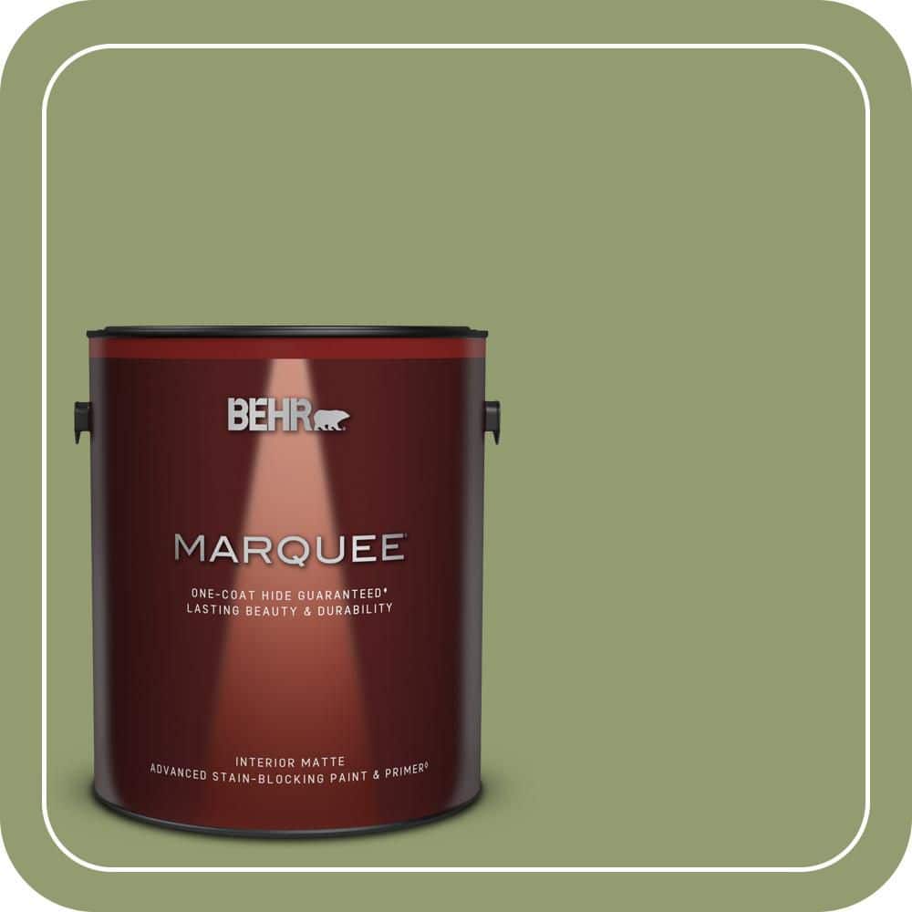 1 gal. #PPU11-04 Alamosa Green One-Coat Hide Matte Interior Paint & Primer price history on PriceWatchPro