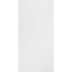 Plain White 2 ft. x 4 ft. Lay-in Ceiling Tile (64 sq. ft. / Case)