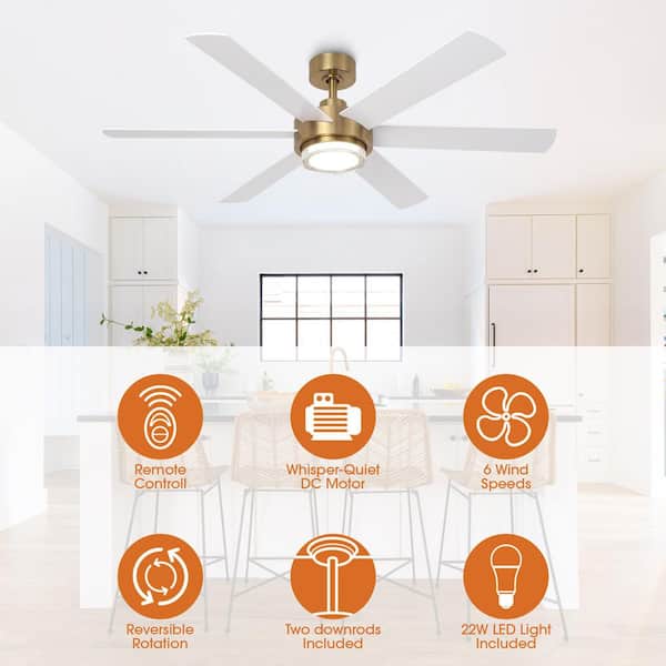 Parrot Uncle 54 in. Indoor Integrated LED Gold Dimmable