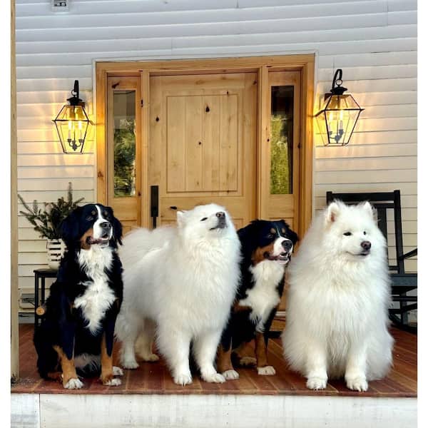 DIY 36 in. x 80 in. Knotty Alder Sq. Top V-Groove Right-Hand Clear Stain Wood Front Door Kit w/ Quick Assemble Jamb