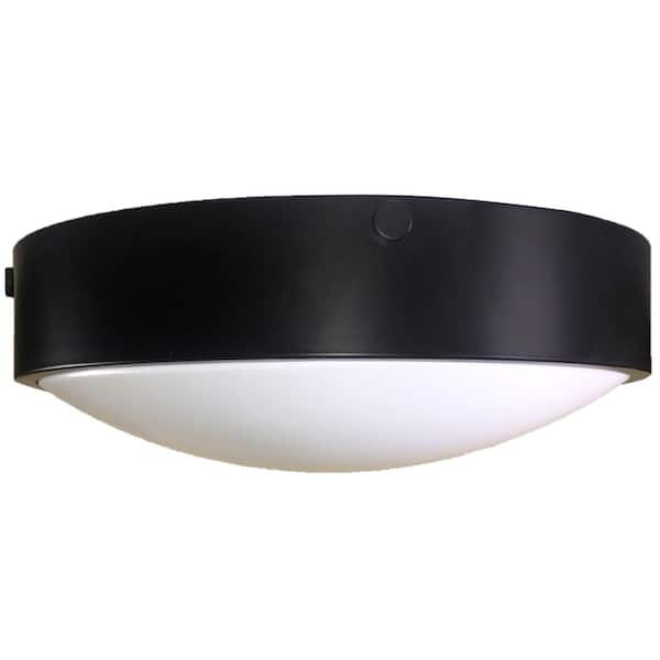 PROCURVE 3-Light Black Flush Mount
