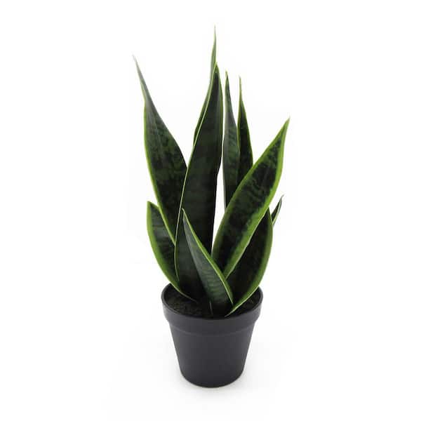 16 in. Sansevieria Artificial Snake Plant in Black Pot