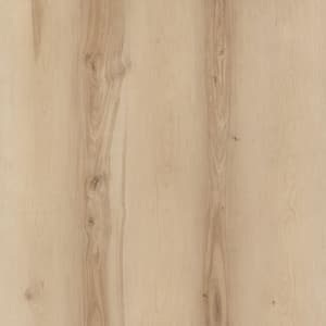 Hillcrest Birch 22 MIL x 7.1 in. W x 48 in. L Click Lock Waterproof Luxury Vinyl Plank Flooring (23.64 sq. ft. / Case)