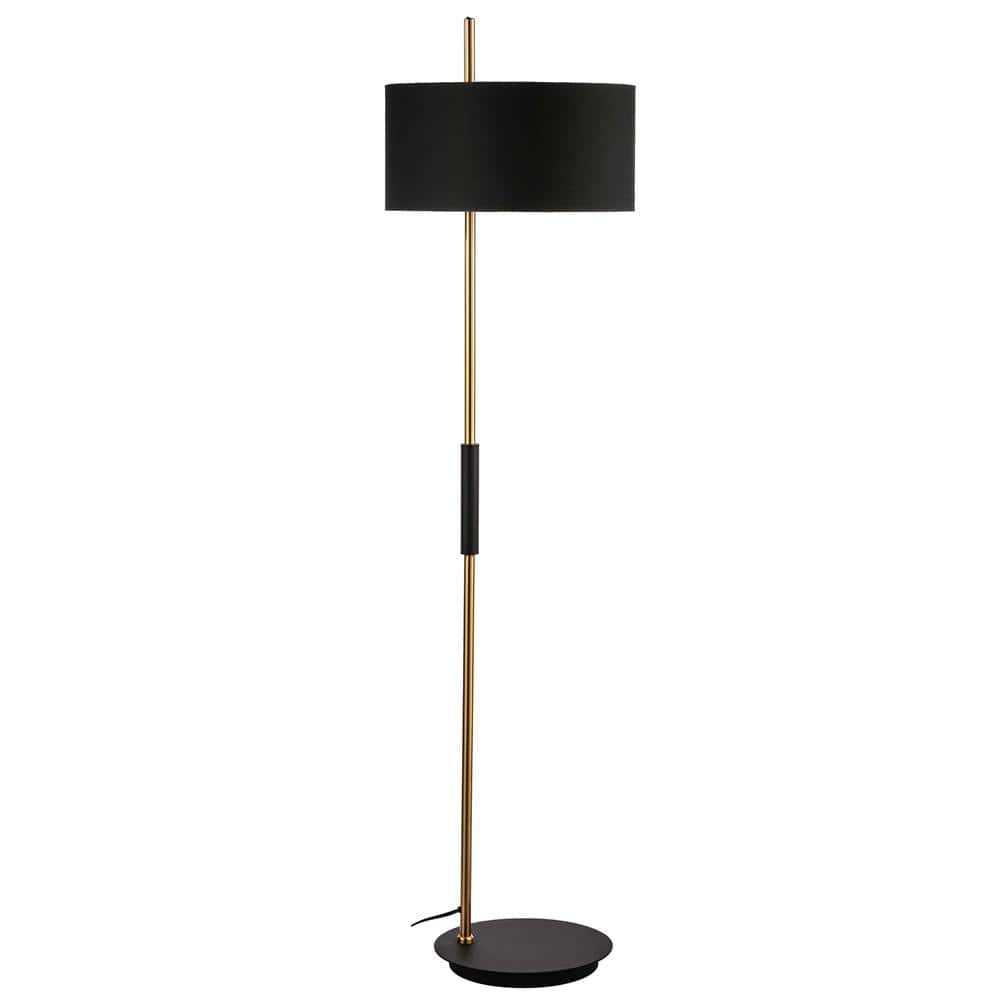 Matte Black and Aged Brass Adjustable Floor Lamp, 62 Inches