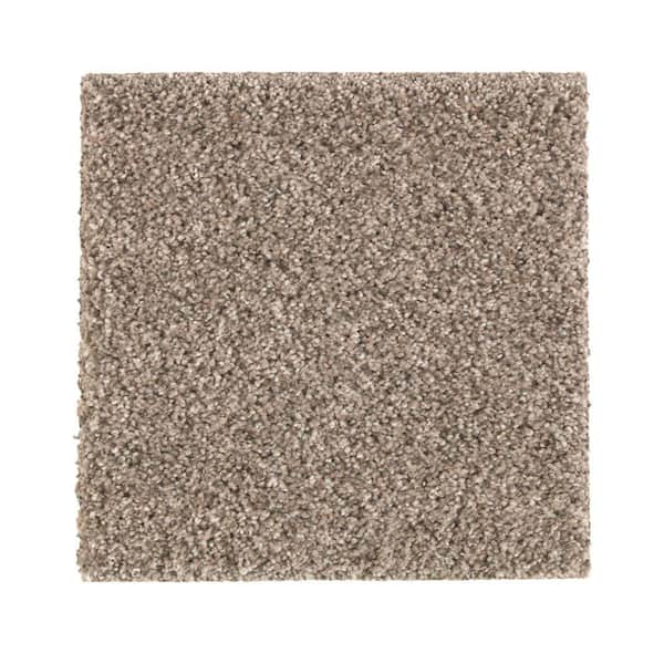 8 in. x 8 in. Texture Carpet Sample - Maisie II -Color Contessa