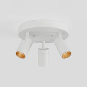 Shura White 3-Light Round Ceiling Light with Rotatable Heads, Integrated LED Bulbs, Fixed Track, 3000K, 1365 Lumen