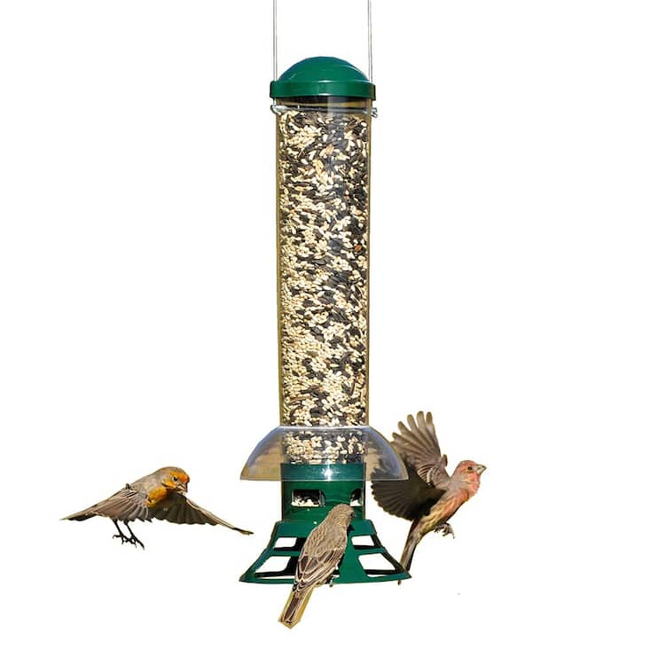 Perky-Pet Squirrel Slammer Squirrel Resistant Wild Bird Feeder - 3.5 lb. Capacity