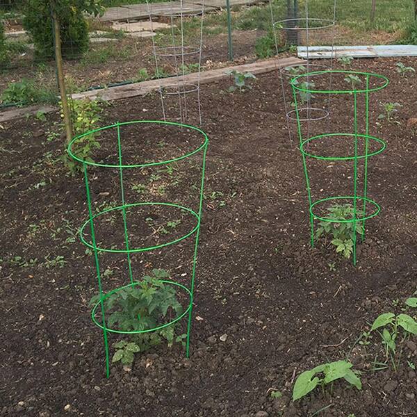 Gardener S Blue Ribbon 42 In Heavy Duty Green Tomato Cage 901594gr The Home Depot