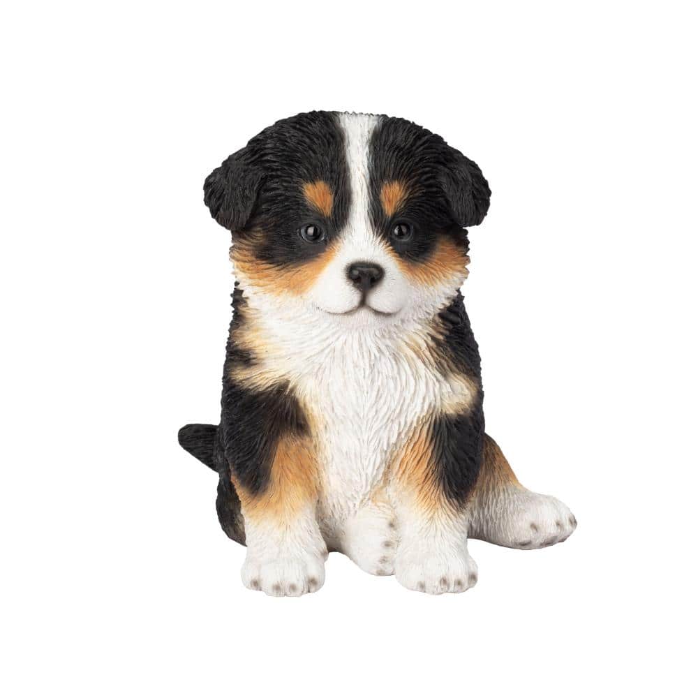 SoReal White & Brown Australian shepherd price history on PriceWatchPro