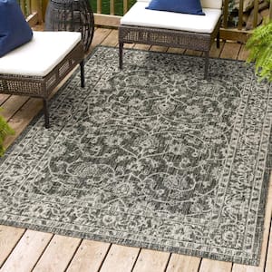 Palazzo Vine and Border Textured Weave Indoor/Outdoor Black/Gray 3 ft. x 5 ft. Area Rug