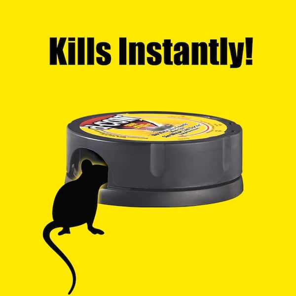How to Get Rid of Mice - The Home Depot