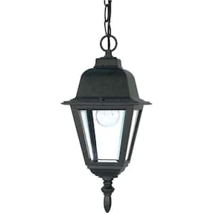 1-Light Outdoor Textured Black Hanging Lantern with Clear Glass Shade