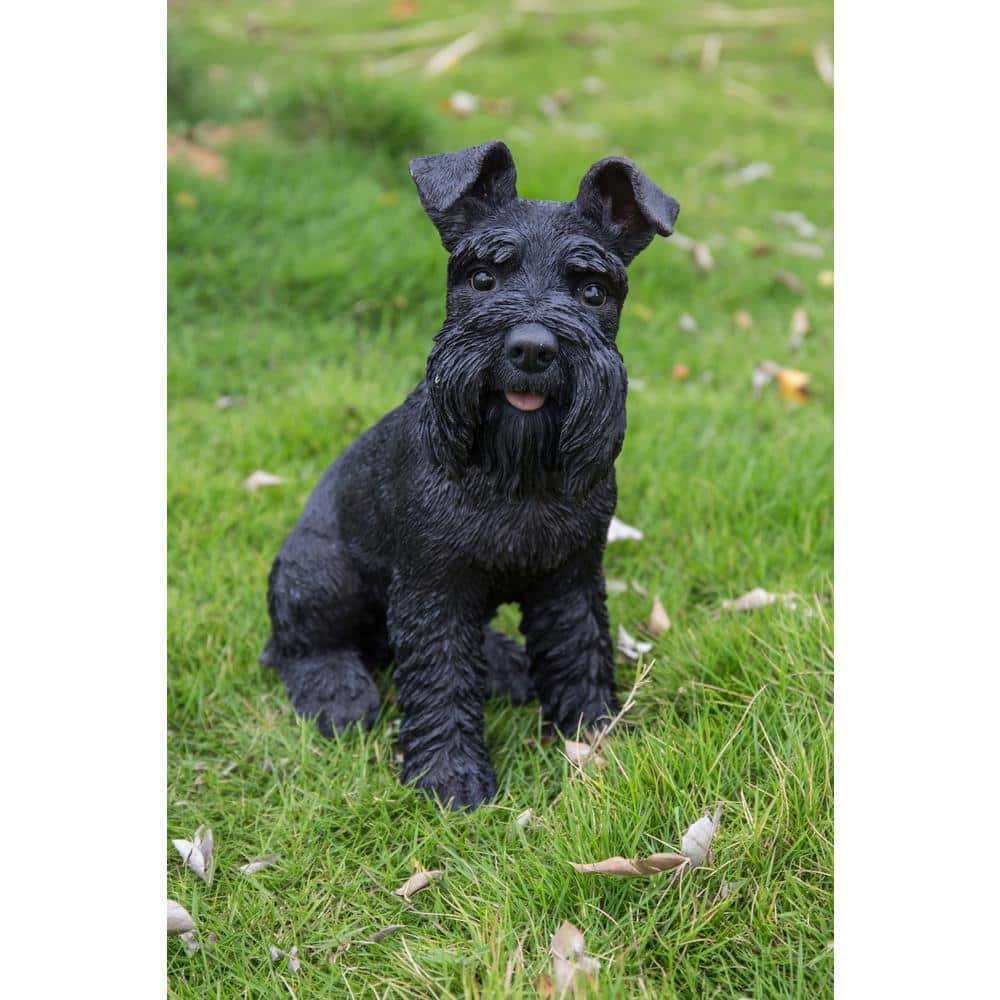 Figurine Schleich Dog : Schnauzer Noir – 16306 – Occasion