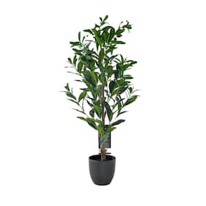 Botanika, 34 .43 in. Green Artificial Petite Olive Tree in Black Pot