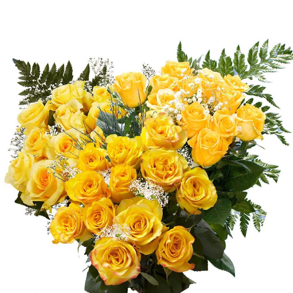 Globalrose 3-Dozen Yellow Roses with Baby's Breath and Green- Fresh ...
