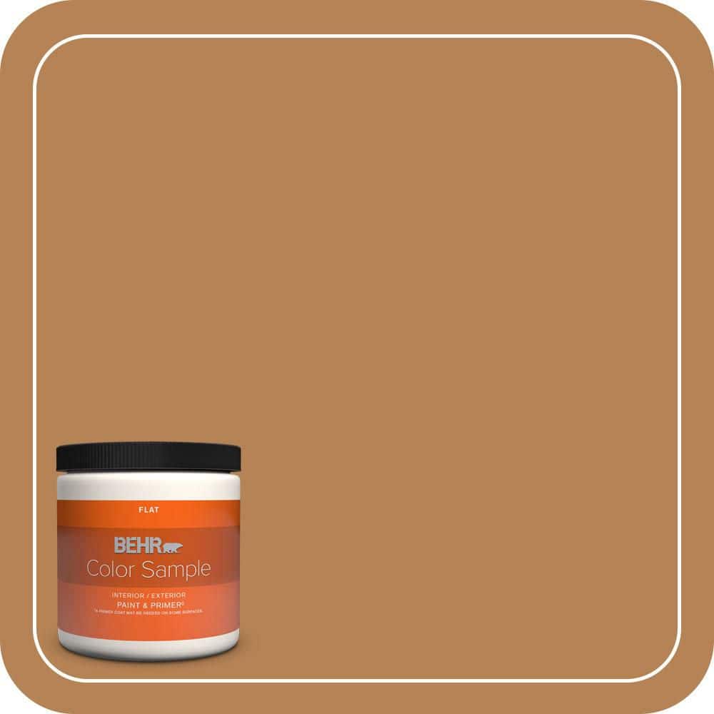 roasted-cashew-behr-premium-