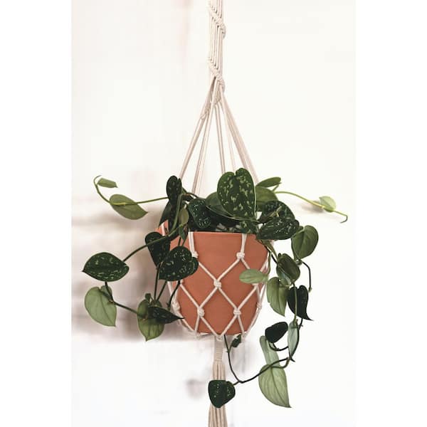 Storied Home Handwoven Natural Cotton Macrame Plant Hanger with Hook