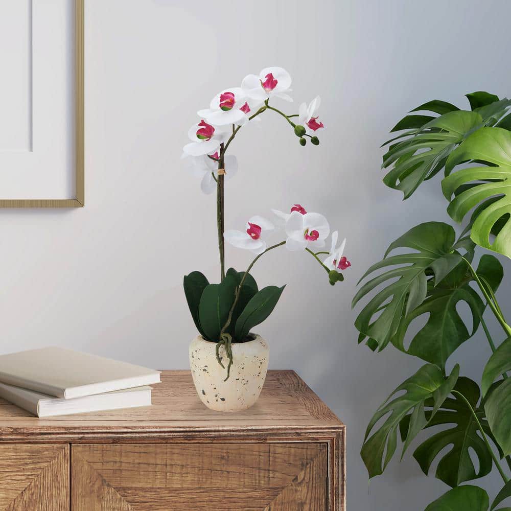 White and Pink Realistic Faux Orchid in Stone Pot, 22-Inch