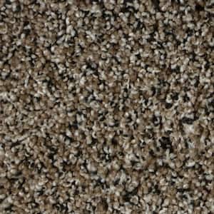 Captain  - Edinburg - Brown 35 oz. SD Polyester Texture Installed Carpet