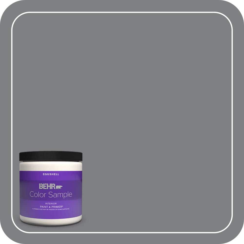 8 oz. #T12-10 Game Over Eggshell Enamel Interior Paint & Primer Color Sample price history on PriceWatchPro
