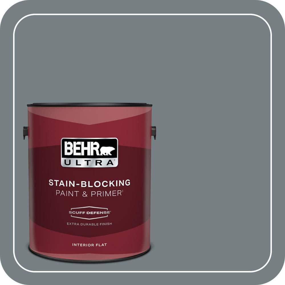 1 gal. #BNC-39 Peak Point Extra Durable Flat Interior Paint & Primer price history on PriceWatchPro