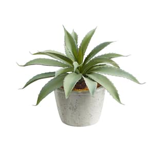 9 in. Aloe Succulent Artificial Plant