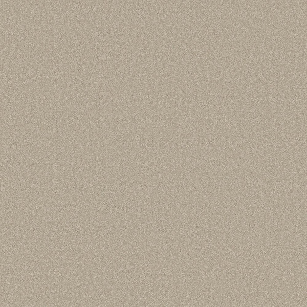 Home Decorators Collection Vacation Seapearl Beige 42 oz. SD High Performance Polyester Texture Installed Carpet