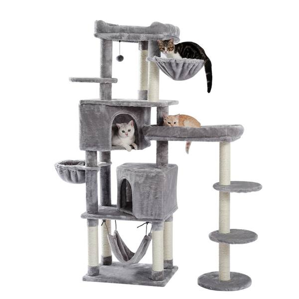 cat platforms for large cats