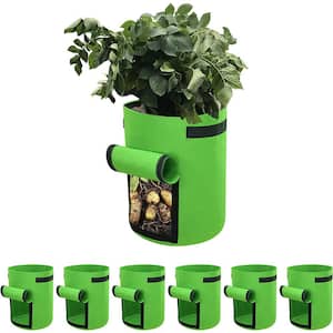 10 Gal. Green BPA Free Vegetable Grow Bags with Flap Lid and Handle (Pack of 6)