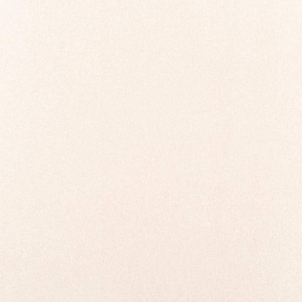 8 in. x 8 in. Texture Carpet Sample - Waking Up I - Color Morning Mist price history on PriceWatchPro