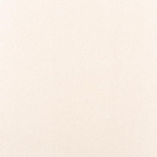 Lifeproof with Petproof Technology 8 in. x 8 in. Texture Carpet Sample - Waking Up I - Color Morning Mist