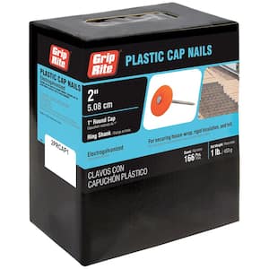 #12 x 2 in. Plastic Round Cap Roofing Nails 1 lb. Box