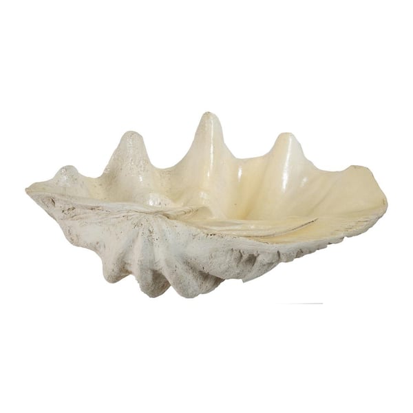 A & B Home Natural Large Clam Shell Accent