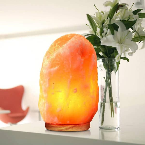 https://images.thdstatic.com/productImages/d45dbdd3-4f77-4fb2-8db8-566d0846ec19/svn/himalayan-glow-novelty-lights-1000-44_600.jpg