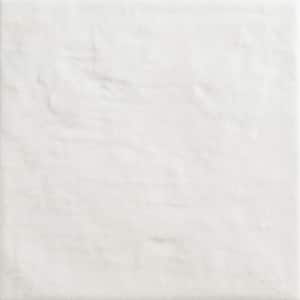 Passion Blanco 8.86 in. x 8.86 in. Matte Porcelain Floor and Wall Tile (10.9 sq. ft./Case)