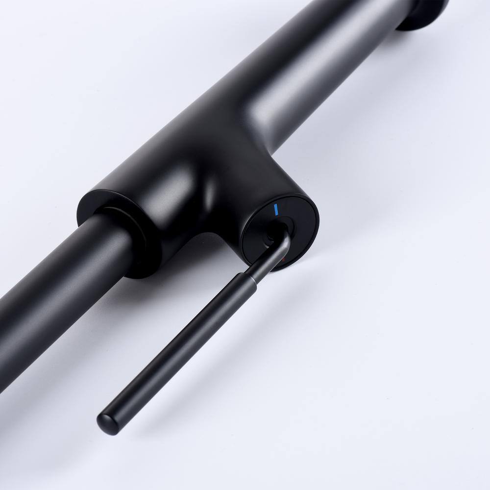 Matte Black Single Handle High Arc Kitchen Faucet with Pull-out Spray