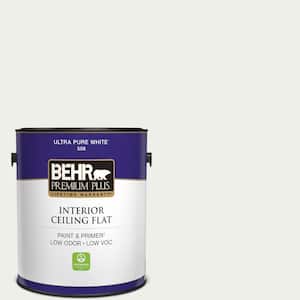 1 gal. Designer Collection #DC-004 Winter White Ceiling Flat Interior Paint